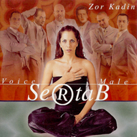 Sertab Erener - Zor Kadin (Single)