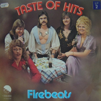 Firebeats & Ingjerd Helen - Taste Of Hits