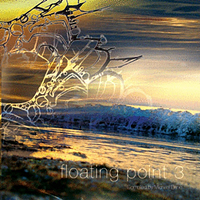 Various Artists [Soft] - Floating Point 3