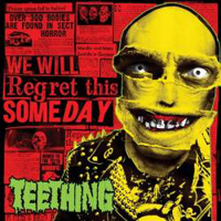 Teething - We Will Regret This Someday