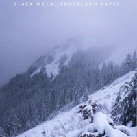 Various Artists [Hard] - Black Metal: Frostland Tapes I (CD 2)