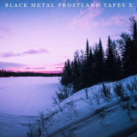 Various Artists [Hard] - Black Metal: Frostland Tapes X (CD 4)