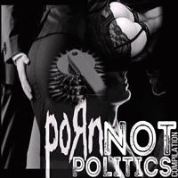 Various Artists [Hard] - Porn Not Politics (CD 2)