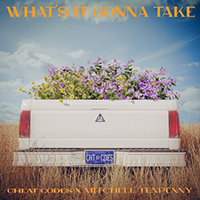 Cheat Codes - What's It Gonna Take (feat. Mitchell Tenpenny)