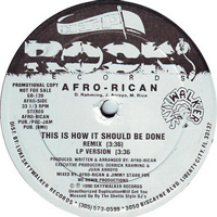 Afro-Rican - This Is How It Should Be Done (12'' Promo Single)