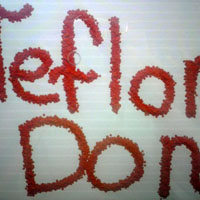 Teflon Don - I Ain't Afraid Of Nothin' Homie (Single)