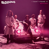 Blossoms - I Can't Stand It (Remixes Single)