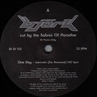 Björk - Bjork Cut By Sabres Of Paradise [Single Side Promo bjdj123]