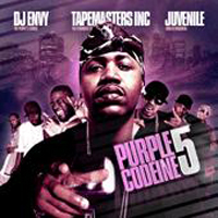 DJ Envy - DJ Envy & Tapemasters Inc. - Purple Codeine 5 (split)