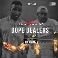 Troy Ave - Trap Niggaz [Remix] (Single)