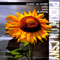 Pickin' On... - Pickin' On... (CD 14: Pickin' On Crosby, Stills, Nash & Young)