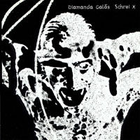 Diamanda Galas - Schrei X - Deluxe Edition (CD 1: Schrei 27)