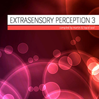 DJ Martin - Extrasensory Perception vol.3 (Compiled By Martin & Liquid Soul)
