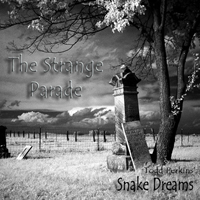 Todd Perkins' Snake Dreams - The Strange Parade