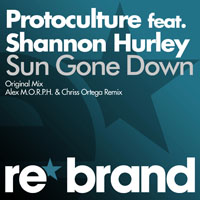 Protoculture - Sun Gone Down (Single)