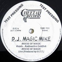 DJ Magic Mike - House Of Magic (12'' Test Pressing Single)