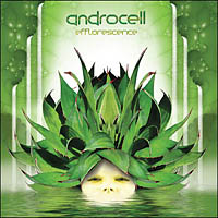 Androcell - Efflorescence