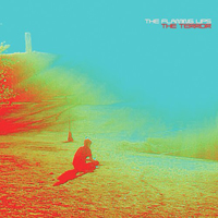 Flaming Lips - The Terror (Bonus CD)