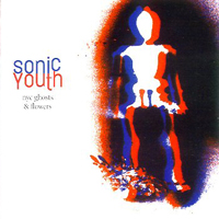 Sonic Youth - NYC Ghosts & Flowers