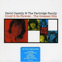 David Cassidy - Could It Be Forever, Greatest Hits