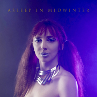 Ships In The Night - Asleep In Midwinter (EP)