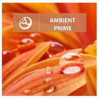 Various Artists [Chillout, Relax, Jazz] - Ambient Prime