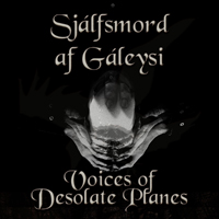 Sjalfsmord Af Galeys - Voices Of Desolate Planes