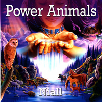 Niall - Power Animals