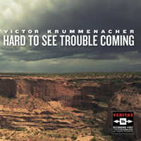 Krummenacher, Victor - Hard To See Trouble Coming