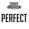 2018 Perfect (Single)