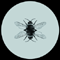 Damaged Clock - Bee (Single)