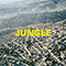 2023 JUNGLE