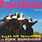 We\'ve Got A Fuzzbox And We\'re Gonna Use It - Rules And Regulations To Pink Sunshine: The Fuzzbox Story (CD 2)