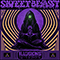 SweetBeast - Illusions