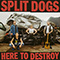 Split Dogs - Here To Destroy