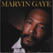 2008 Marvin Gaye