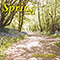 1998 Spring