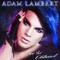 Adam Lambert - For Your Entertainment