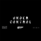 2013 Under Control (Last 3 Digits Vs. Rob Andrews Remix) [Single]