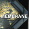 Membrane - Disaster