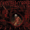 Cannibal Corpse ~ Torture