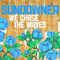 Sundowner - We Chase The Waves