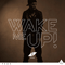 2013 Wake Me Up (Single)