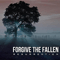 Forgive The Fallen - Resurrection