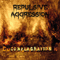 Repulsive Aggression - Conflagration