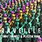 2019 Raveille (with Plastik Funk) (Single)