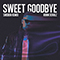2023 Sweet Goodbye (Svidden Remix)