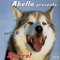 2013 Akella Presents, Vol. 48 - Zydeco! (CD 2)