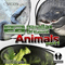 2009 Animals, Part 1 (EP)