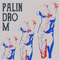 Palindrom (MKD) - Desert Y